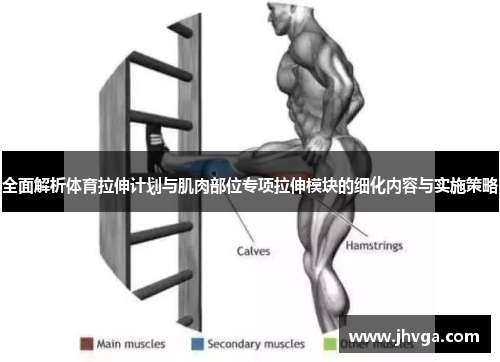 全面解析体育拉伸计划与肌肉部位专项拉伸模块的细化内容与实施策略