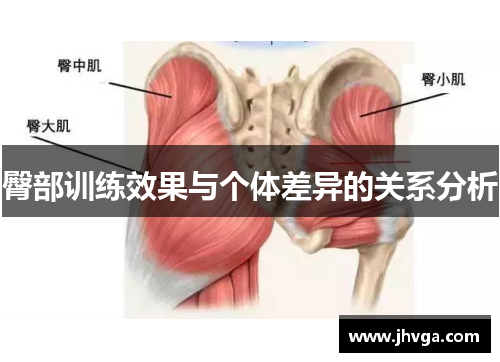 臀部训练效果与个体差异的关系分析